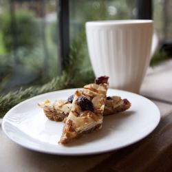 Fruit and Almond Florentine Bars - Recipe photo by zpinfold