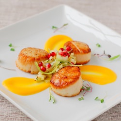 Food Plating Techniques Video - Recipe photo by helenrennie