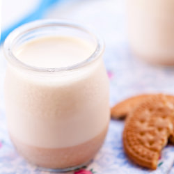 Cookies and Cinnamon Yoghurt - Recipe photo by gasparzinha
