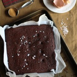 Gluten Free Chocolate Beet Cake - Recipe photo by roastedroot
