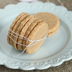 Speculoos Cookies - Recipe photo by satisfymysweettooth
