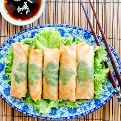 Chinese Vegetable Spring Rolls - Recipe photo by mywaytocook.com