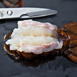Lobster Tails - Recipe photo by cookshootandeat