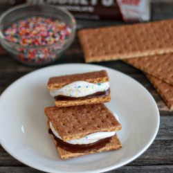 Celebration Peep S'mores - Recipe photo by noyomoco