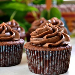 Double Chocolate Cupcakes - Recipe photo by Lady Behind The Curtain