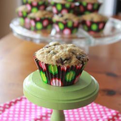 Quinoa Blueberry Chobani Muffins - Recipe photo by kneadtocook