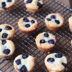 Blueberry & Lemon Friands - Recipe photo by Bailey Ana Cakes