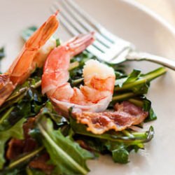 Dandelion Salad - Recipe photo by themakergirl