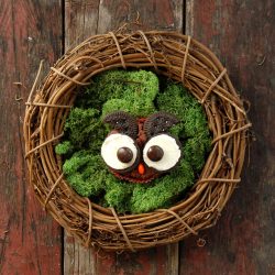 Gluten Free Owl Cupcakes - Recipe photo by boulderlocavore