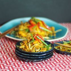 Singapore Fried Noodles - Recipe photo by sandrasim