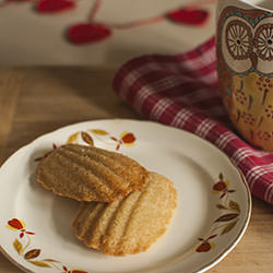 Gluten Free Cookies - Recipe photo by BobbiLewin
