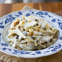 Fettuccine with Parmesan Cream Sauce - Recipe photo by thecozyapron