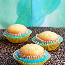 Lemon Poppy Seed Muffins - Recipe photo by culinarycool