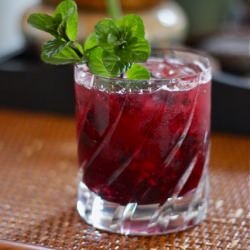 Blackberry Gin Fizz - Recipe photo by yoursouthernpeach