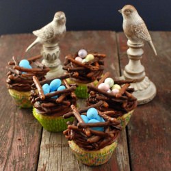 Chocolate Bird's Nest Cupcakes - Recipe photo by boulderlocavore