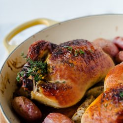 Buttermilk Brined Cornish Hens - Recipe photo by kitchen confidante