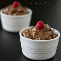 Chocolate Avocado Mousse - Recipe photo by FreeRange Human