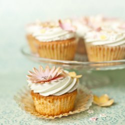 Vanilla Cupcakes - Recipe photo by Vagabond Baking