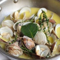 Fresh Clams Steamed in Lemon Butter - Recipe photo by 30A EATS