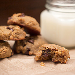Vegan and Grain Free PB Cookies - Recipe photo by stephchows