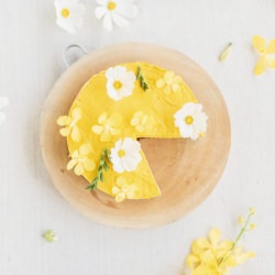 Kabocha & Bee Pollen Cake - Recipe photo by happy tomodachi
