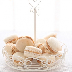Vanilla Macarons with Speculoos - Recipe photo by openbook
