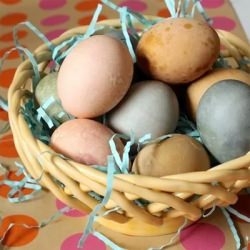 Homemade Easter Egg Dye - Recipe photo by FoodFanatical