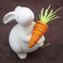 3-D Stacked Carrot Cookies - Recipe photo by sdenneler