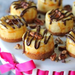Vanilla Bean Turtle Cheesecake - Recipe photo by damndelicious