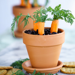 Black Bean Hummus in Flower Pots - Recipe photo by ourapronstrings