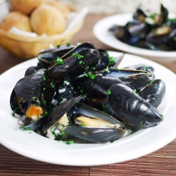 Mussels in White Wine Cream Sauce - Recipe photo by ChefSReynolds