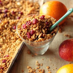 Vegan Cranberry Orange Granola - Recipe photo by chocolatechoufleur