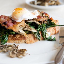 Poached Duck Eggs - Recipe photo by wild greens