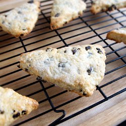 Currant Scones - Recipe photo by mysanfranciscokitchen