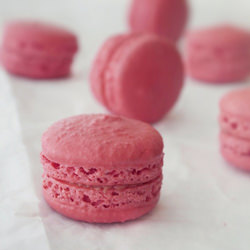 Rhubarb and Blood Orange Macarons - Recipe photo by Cardamom fig