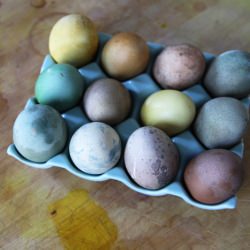 Naturally Dyed Easter Eggs - Recipe photo by davidtornado