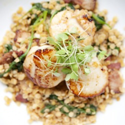 Seared Scallops with Red Lentils - Recipe photo by serenagoh