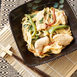 Yaki Udon - Recipe photo by TaraMar