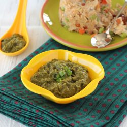 Spring Onion – Cilantro Chutney - Recipe photo by cooksjoy