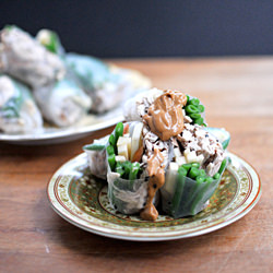 Five-Spice Chicken Spring Rolls - Recipe photo by thepigandquill