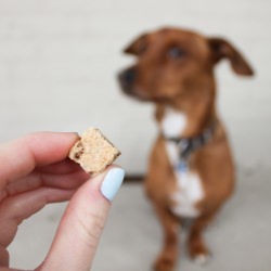 Beefy Dog Training Treats - Recipe photo by SoHungryBlog