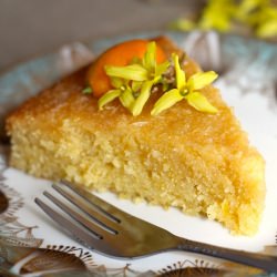 Honey Lemon Polenta Cake - Recipe photo by kitchenvignettes