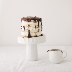 Meringue and Ice Cream - Recipe photo by UnaZebrApois