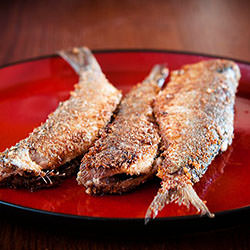 Fried Herring - Recipe photo by VeronicaG