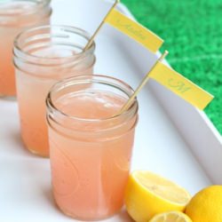 Azalea Cocktail - Recipe photo by yoursouthernpeach