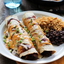 BBQ Pulled Pork Enchiladas - Recipe photo by roastedroot