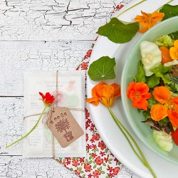 Nasturtium Salad - Recipe photo by lisato