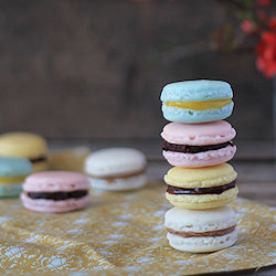Macarons - Recipe photo by Zoka