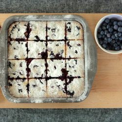 Coconut Lime Blueberry Slice - Recipe photo by thingsforboys