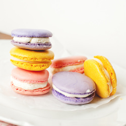 French Macarons - Recipe photo by thelittlewhitekitchen